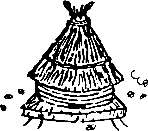 SCEA de la Motte Juranville